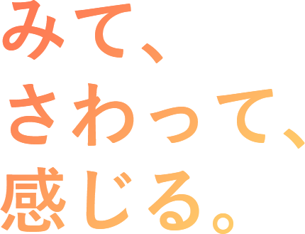 みて、さわって、感じる。